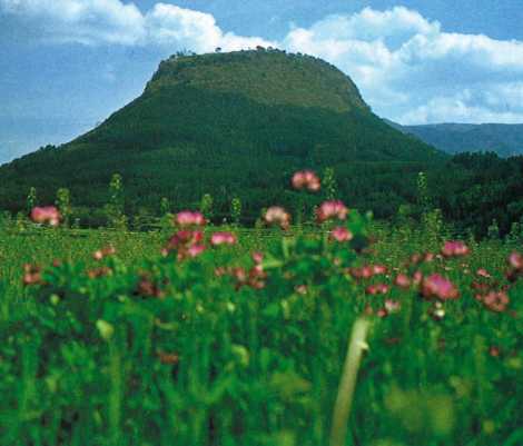 伐株山(きりかぶやま(690メートル))