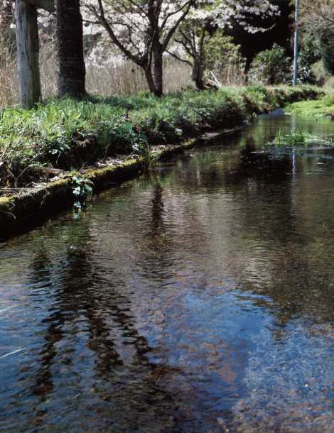 竹田湧水群