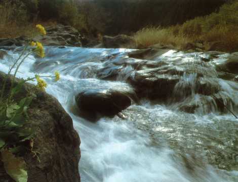 白山川