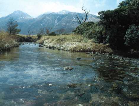 鳴子川（なるこがわ）