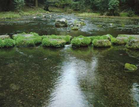 納池公園（のいけこうえん）