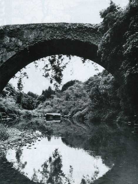 豊後大野市三重・野津町「虹澗橋」