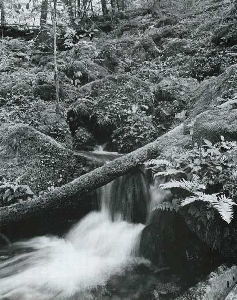 御前岳（ごぜんだけ）湧水