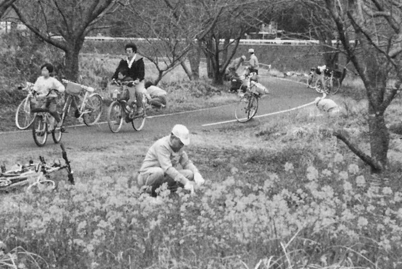 県道中津山国自転車道「メイプル耶馬サイクルライン」