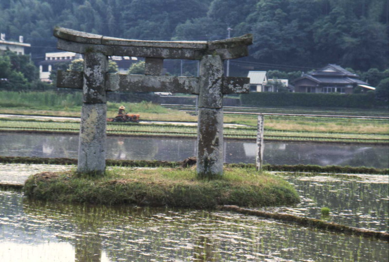 『深田の鳥居』　－県指定文化財・臼杵市－