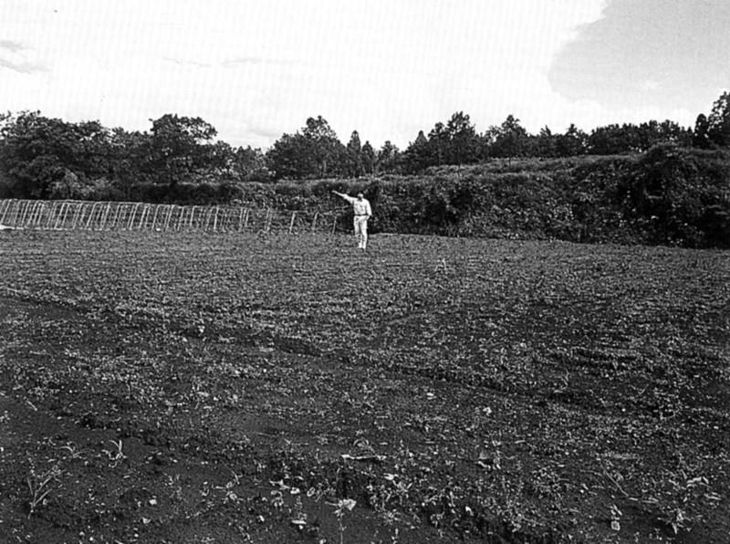 コチョウランのハウス建設予定地