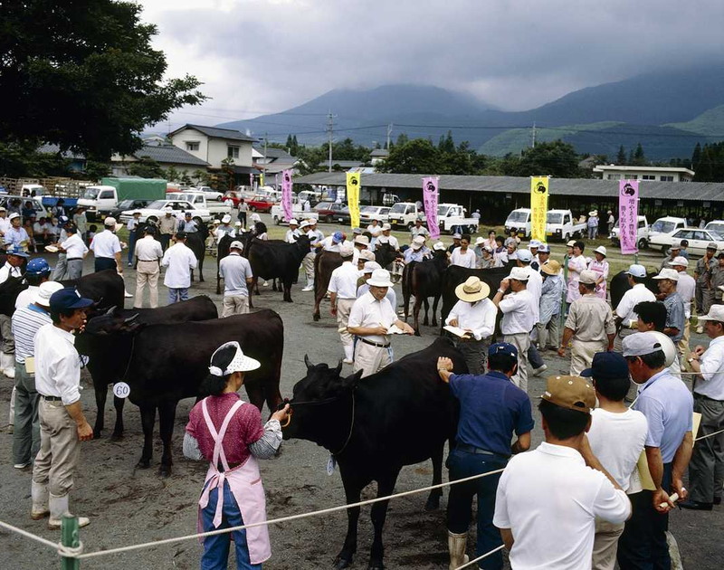 「全共必勝」豊後牛生産振興大会　－竹田市久住町－