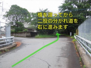 二股の分かれ道