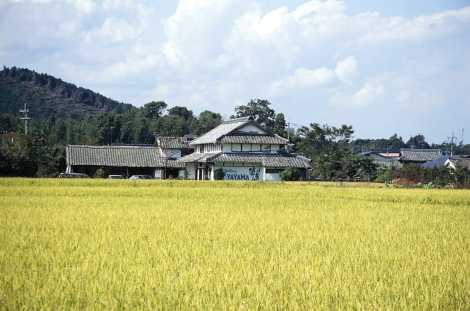 田園と山に囲まれた「ギャラリーややま」