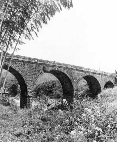 〝石橋の貴婦人〟鳥居橋