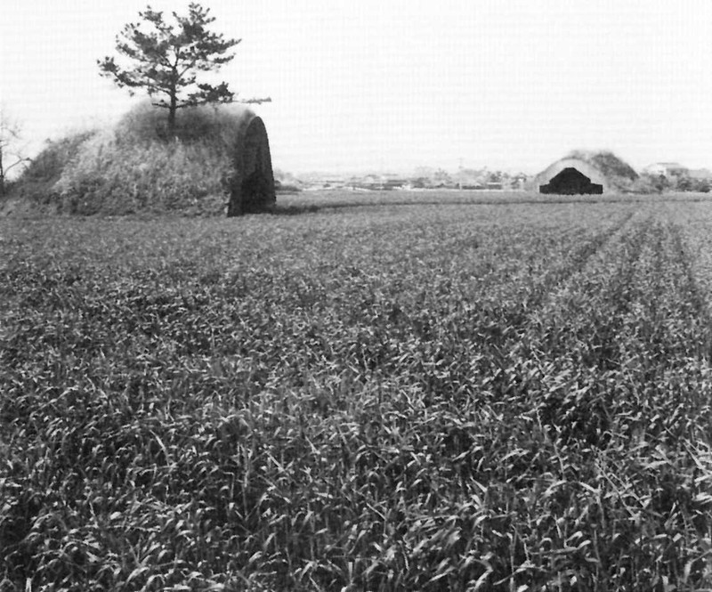 宇佐航空隊跡の掩体壕