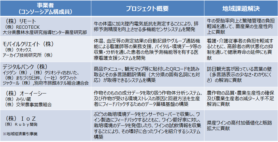 採択プロジェクトの概要一覧