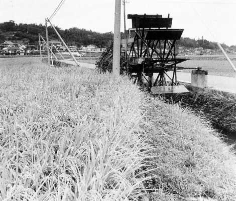 豊かな農村風景／緒方平野を潤す井路