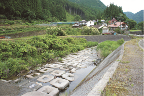 ごごろ川