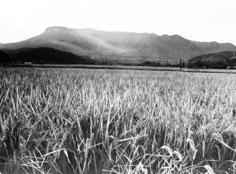 八面山全景