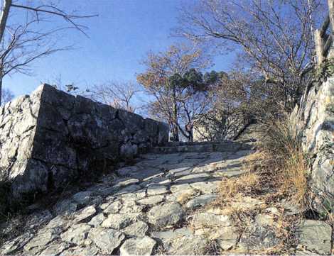 「城山」の坂道　－国木田　独歩－