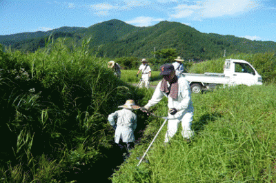 草刈り