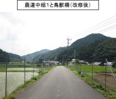 中道