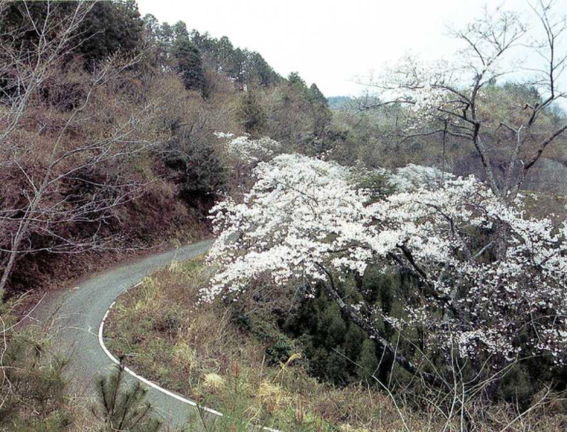 三国峠　－豊後大野市三重町－