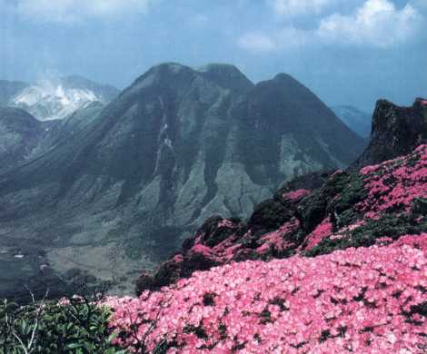 くじゅう連山のミヤキリシマ