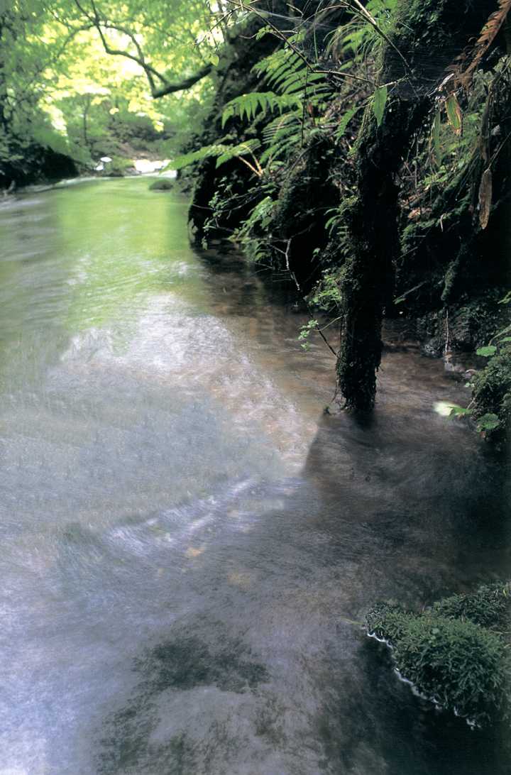 黒岳に湧く清流　－由布市庄内町－