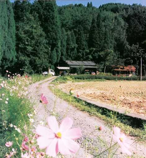 せと谷農園　－由布市湯布院町－