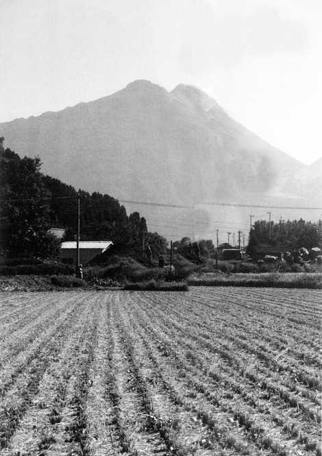 由布岳を望む絶好のロケーション