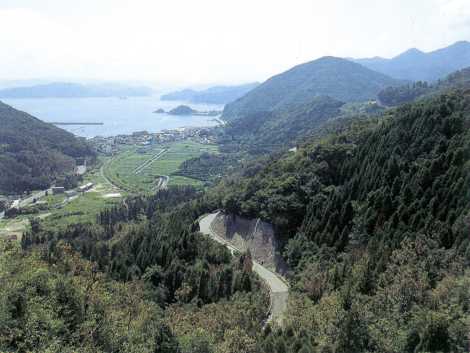 津井峠　－津久見市－