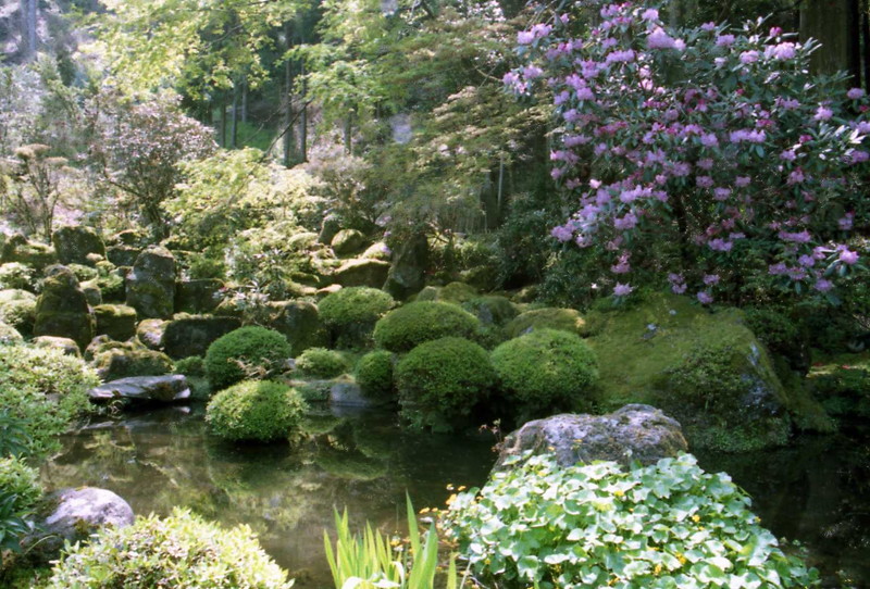 伝来寺庭園　－県指定文化財・日田市中津江村－