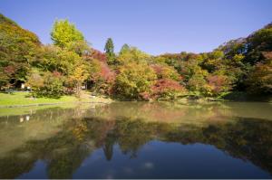 用作公園