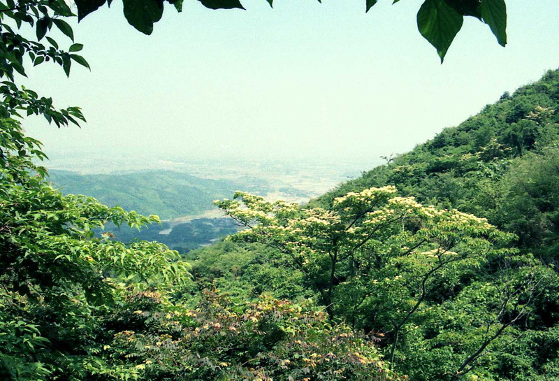 八面山自然遊歩道　－中津市三光－