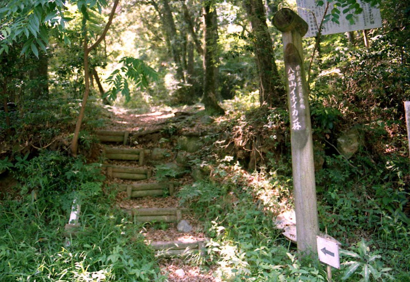 八面山自然遊歩道「登山口付近」　－中津市三光－