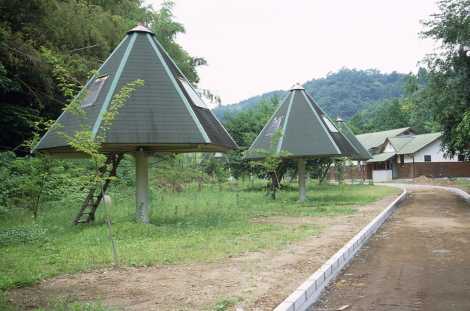 井崎河川公園キャンプ場　－豊後大野市清川町－