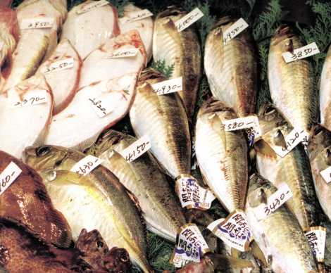 ところ狭しと並ぶ県産魚