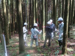 樹高・直径計測実習