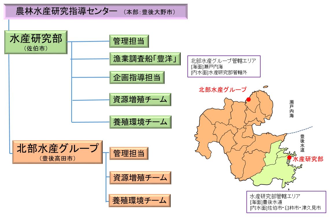 組織図