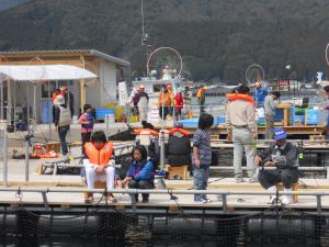 海上釣り堀です。