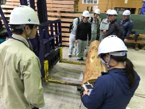 木材の強度特性の計測実習