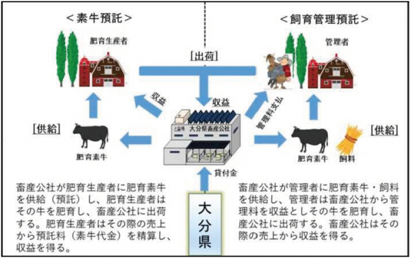 肥育