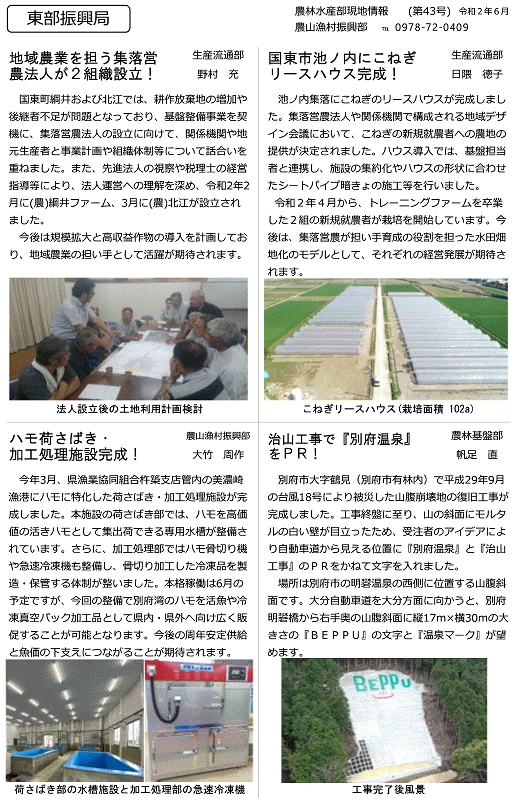 農林水産部現地情報第43号