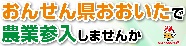 おんせん県おおいたで農業参入しませんか