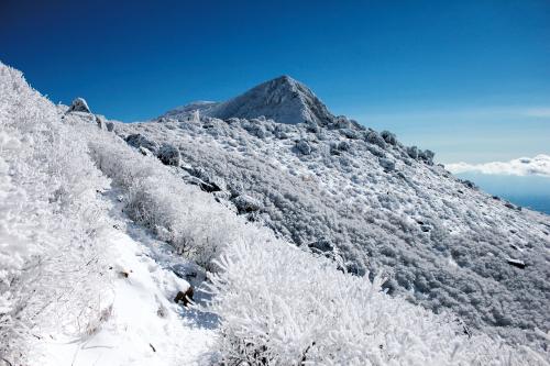 冬のくじゅう連山