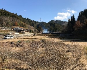出口農地写真