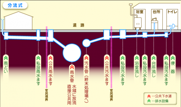 模式図