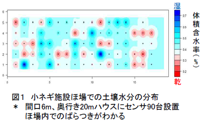 小ネギ施設ほ場での土壌水分の分布