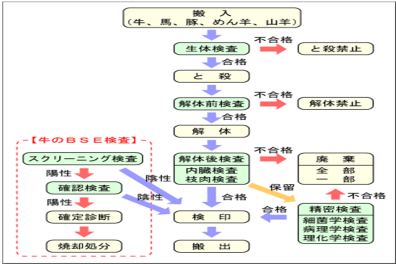 と畜検査の流れ