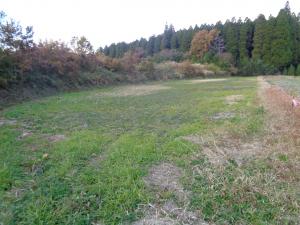 畜産研究部（田）の写真