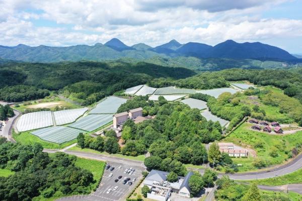 圃場遠景