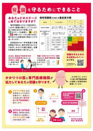 あなたの腎臓は大丈夫？