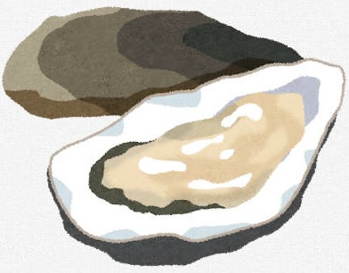 牡蠣のイラストです。